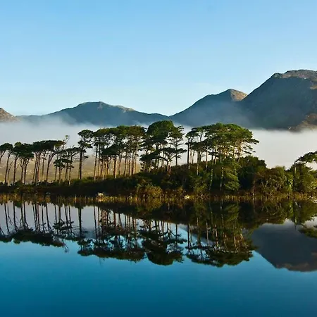 Pink Blossom Clifden