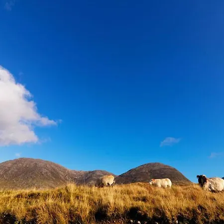 Pink Blossom Appartement