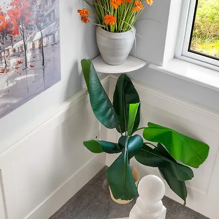 Appartement Pink Blossom *