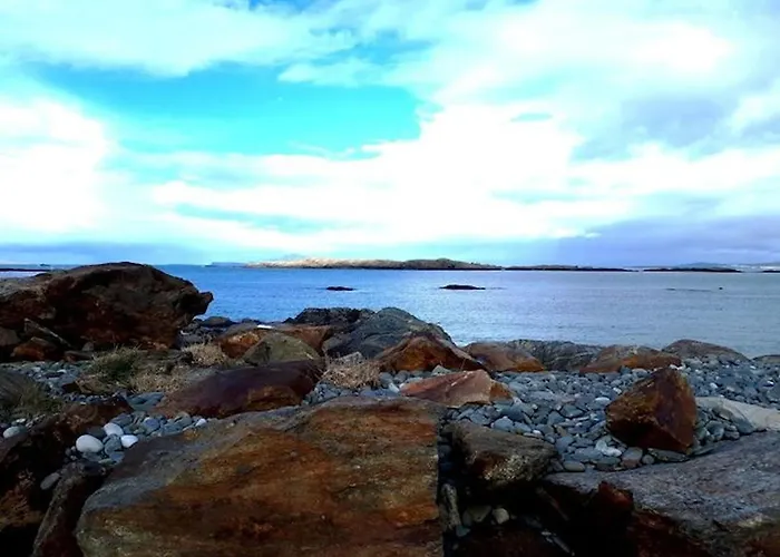 Pink Blossom 公寓 克利夫登