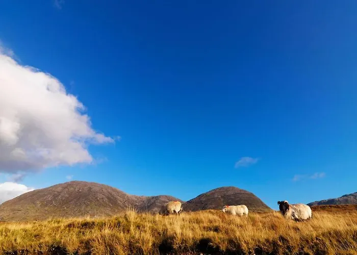 Pink Blossom Lejlighed