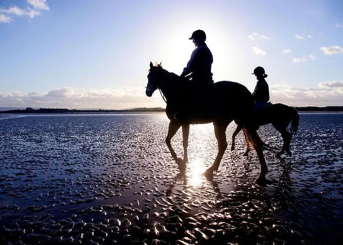 公寓 Pink Blossom 克利夫登
